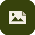 Social Images