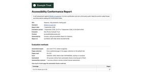 A11y Report: Accessibility Reporting for Statamic Screenshot 4