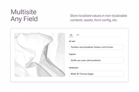 Multisite Any Field Screenshot 1