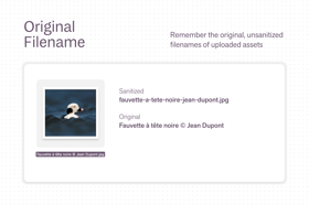 Original Filename Screenshot 1