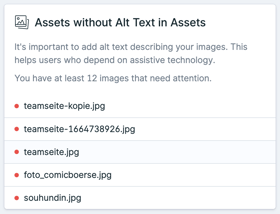 Images Missing Alt Text Screenshot 2