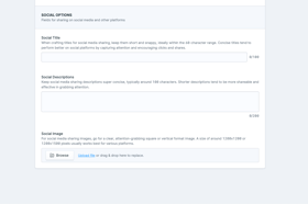 Alt SEO Screenshot 5