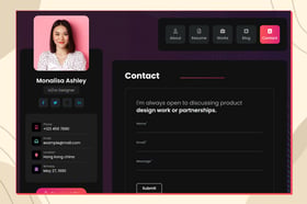 Resume01 Screenshot 3