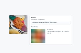 Placeholder Images Screenshot 3