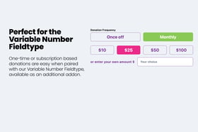 Stripe Checkout Fieldtype Screenshot 4