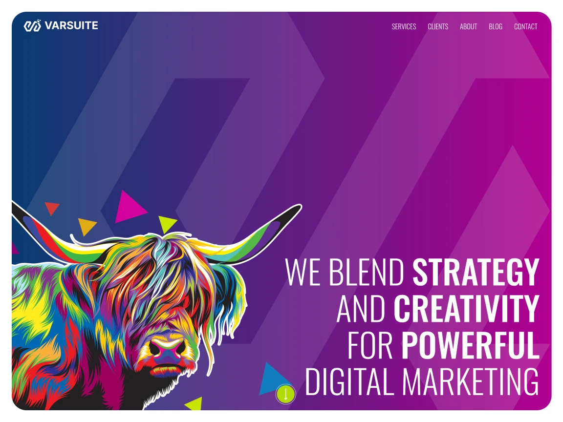 Screenshot of Varsuite Media