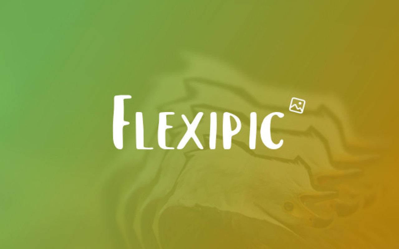 Flexipic Screenshot