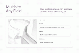 Multisite Any Field Screenshot 1