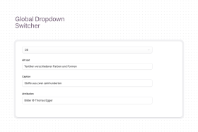Multisite Any Field Screenshot 5