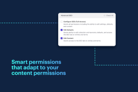 Advanced SEO Screenshot 6
