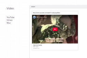 Embed Fieldtype Screenshot 2