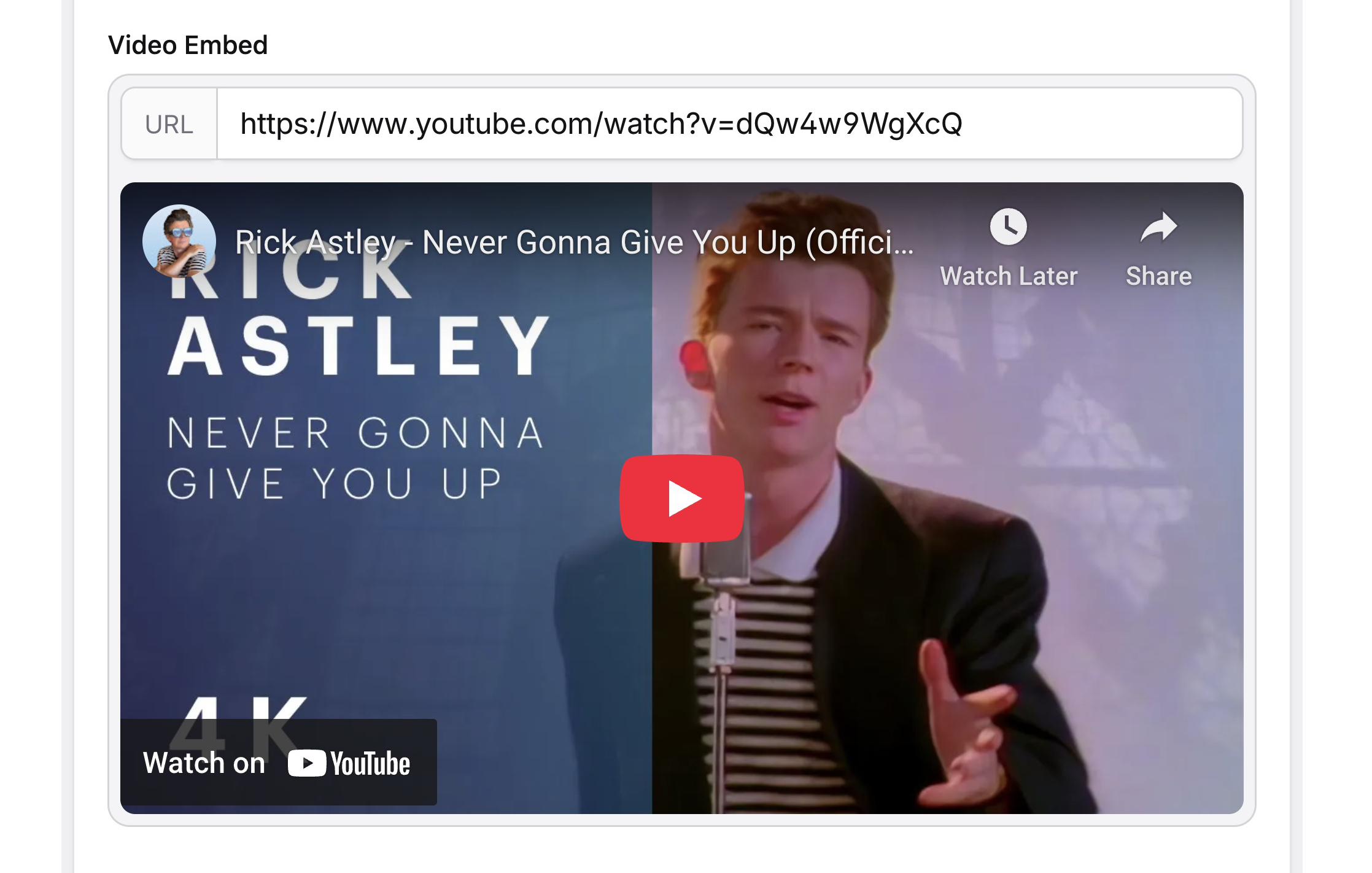 A YouTube address appears pasted into the URL field, with a thumbnail and video automatically appearing below. The video is Rick Astley singing Never Gonna Give You Up.