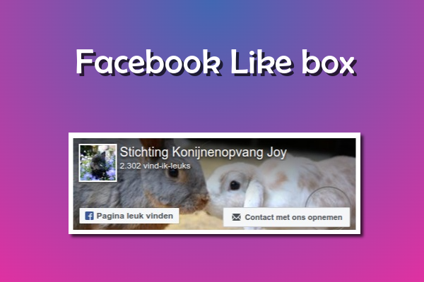 Facebook Like Box Icon