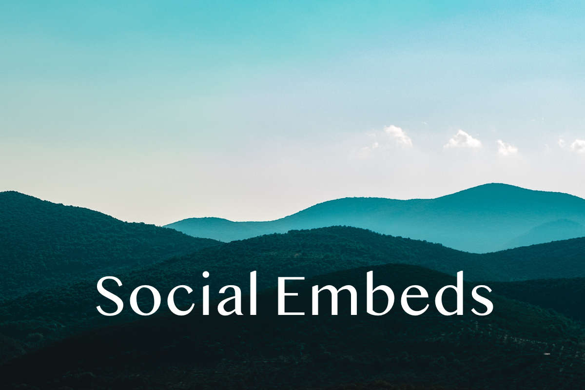 Social Embeds