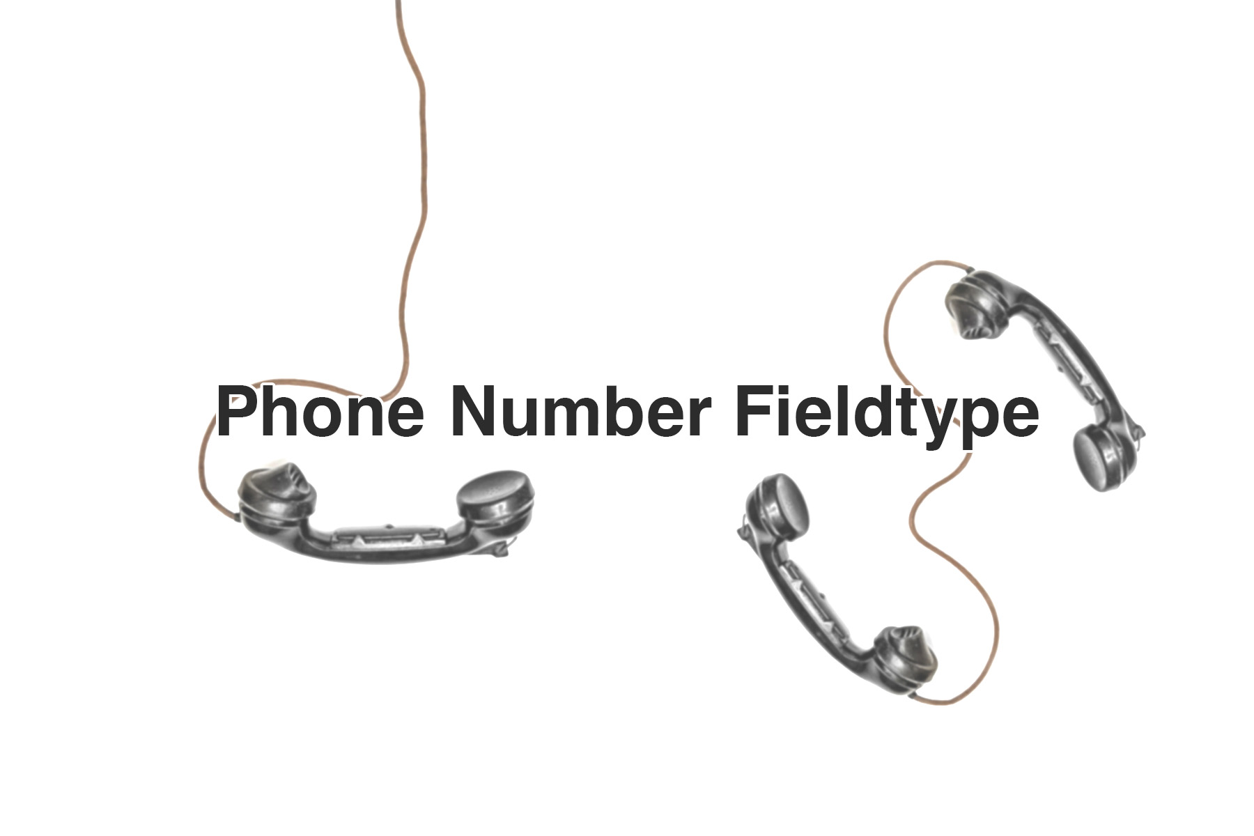 Phone Number Fieldtype Icon